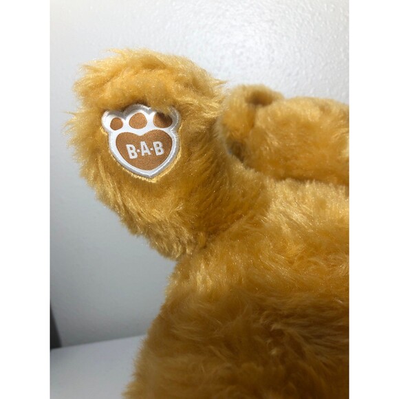 Build-A-Bear Read Bear - Picture 4 of 7